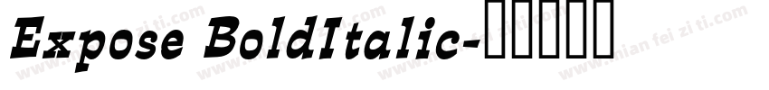 Expose BoldItalic字体转换
